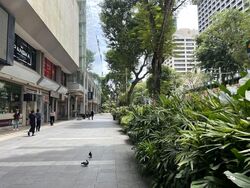 Orchard Towers (D9), Retail #591308851